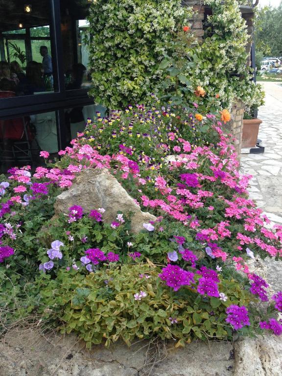 Agriturismo Campo Antico Konuk evi Orte Dış mekan fotoğraf